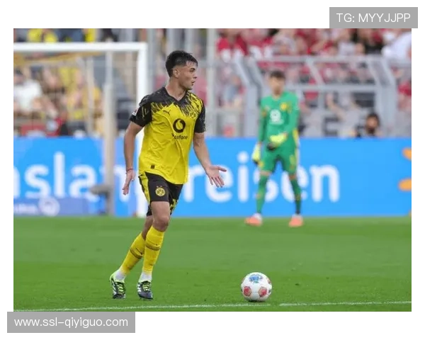 德甲冬窗转会静默，多特蒙德评估中卫补强可行性